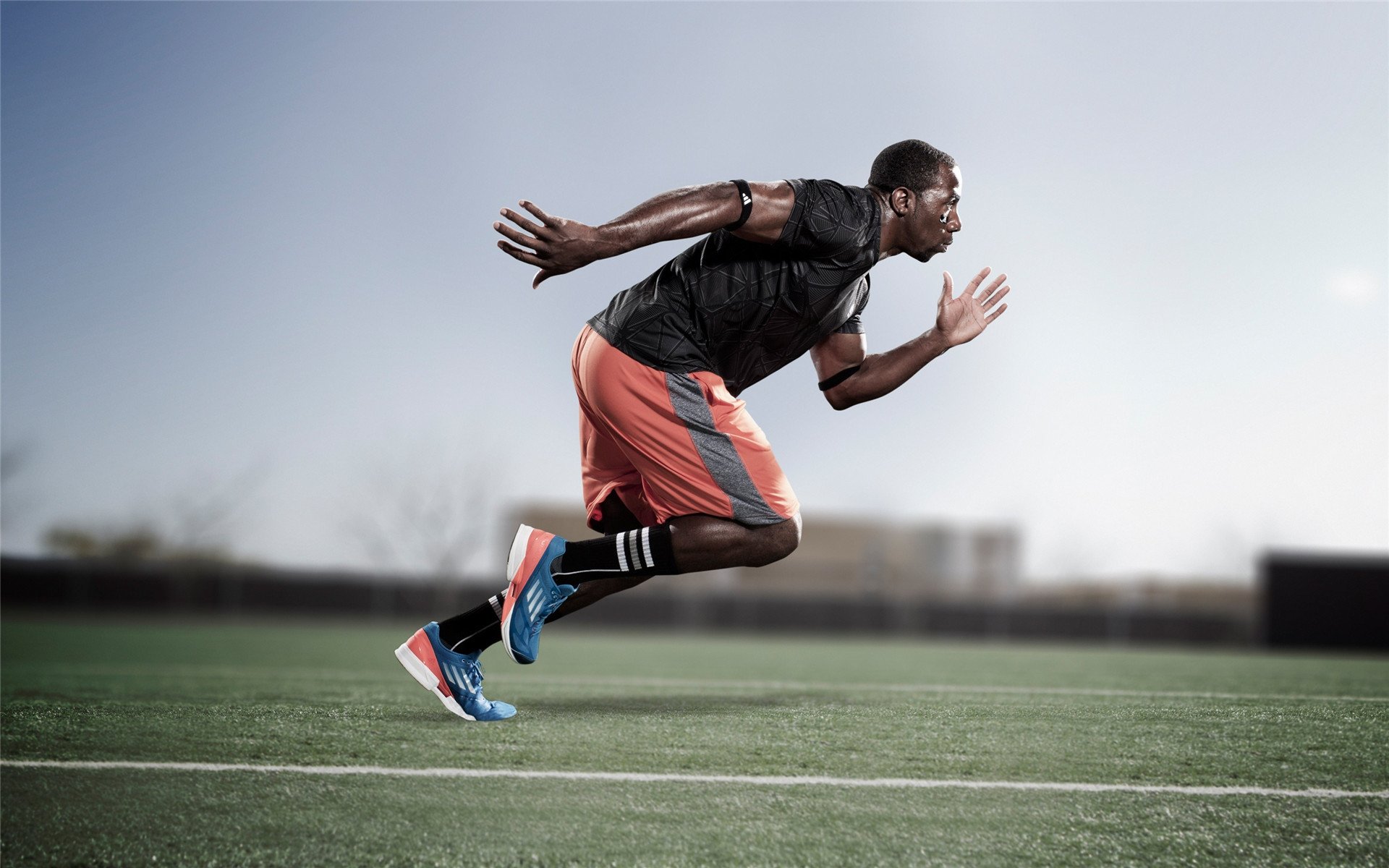 纽约不眠夜，当戈贝尔的舞台从盐湖城延展至麦迪逊，国王见证巨人觉醒